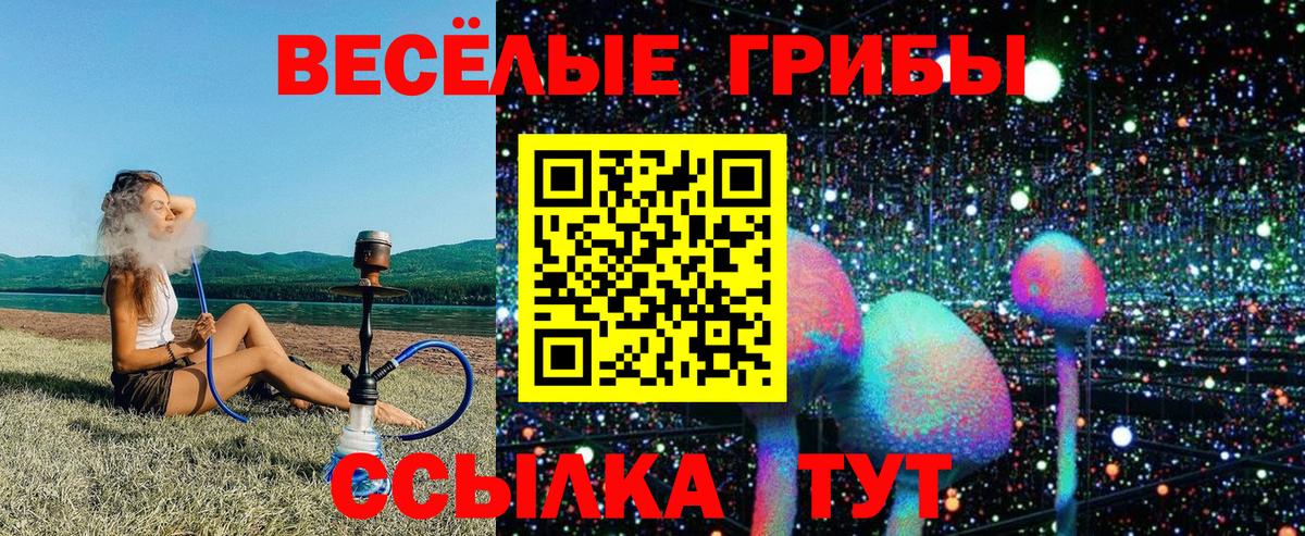 Галлюциногенные грибы GOLDEN TEACHER  Вход с VPN  Калач-на-Дону 