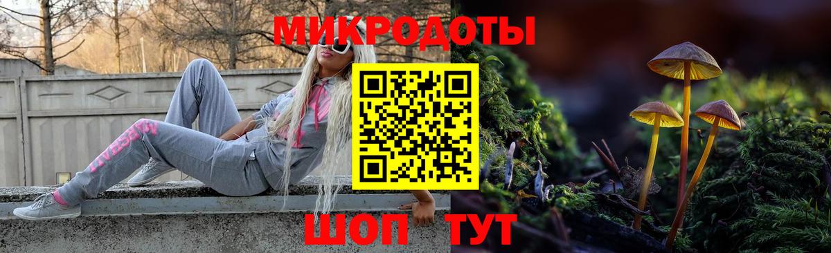 Галлюциногенные грибы мухоморы Калач-на-Дону